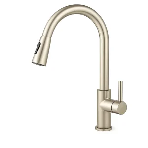 Llave Monomando Lavaplato Inoxidable Profesional Carezza Color Plateado